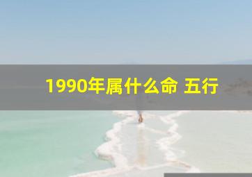 1990年属什么命 五行